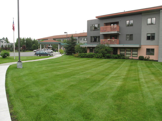 Keep Your Property Green: Lawn Care Tips For Luscious Lawns